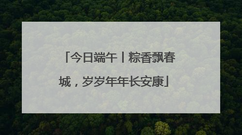 今日端午丨粽香飘春城，岁岁年年长安康