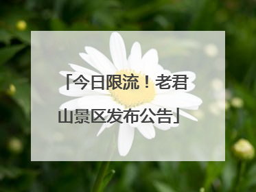 今日限流！老君山景区发布公告