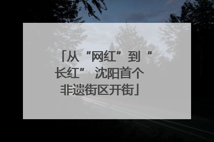 从“网红”到“长红” 沈阳首个非遗街区开街