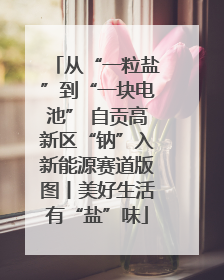 从“一粒盐”到“一块电池” 自贡高新区“钠”入新能源赛道版图丨美好生活有“盐”味