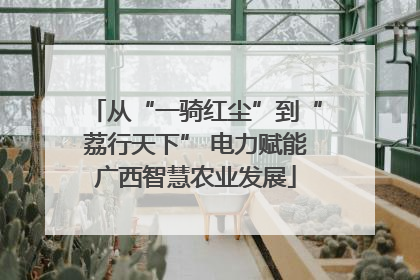 从“一骑红尘”到“荔行天下” 电力赋能广西智慧农业发展