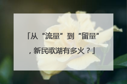 从“流量”到“留量”，新民歌湖有多火？