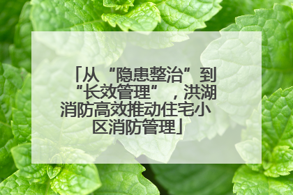 从“隐患整治”到“长效管理”，洪湖消防高效推动住宅小区消防管理