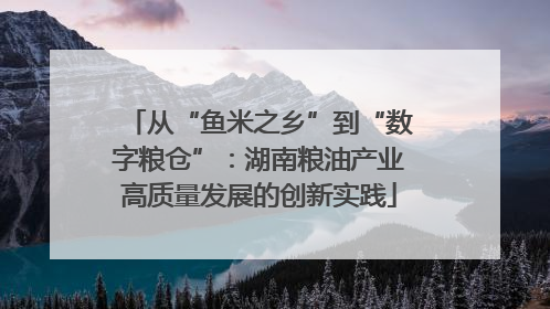 从“鱼米之乡”到“数字粮仓”：湖南粮油产业高质量发展的创新实践