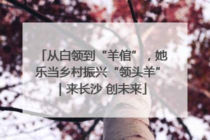 从白领到“羊倌”，她乐当乡村振兴“领头羊”｜来长沙 创未来