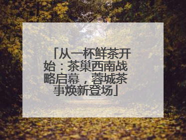 从一杯鲜茶开始：茶巢西南战略启幕，蓉城茶事焕新登场