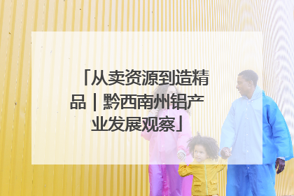 从卖资源到造精品｜黔西南州铝产业发展观察