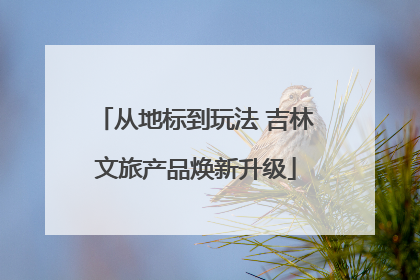 从地标到玩法 吉林文旅产品焕新升级