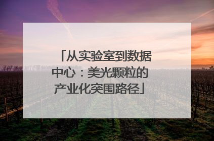 从实验室到数据中心：美光颗粒的产业化突围路径