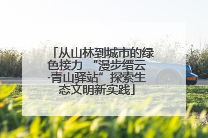 从山林到城市的绿色接力 “漫步缙云·青山驿站”探索生态文明新实践