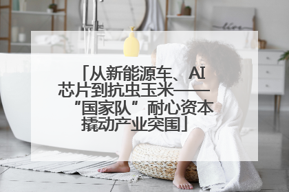 从新能源车、AI芯片到抗虫玉米——“国家队”耐心资本撬动产业突围
