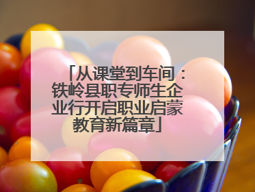 从课堂到车间：铁岭县职专师生企业行开启职业启蒙教育新篇章