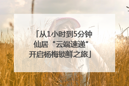 从1小时到5分钟 仙居“云端速递”开启杨梅锁鲜之旅
