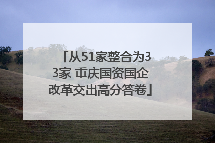 从51家整合为33家 重庆国资国企改革交出高分答卷