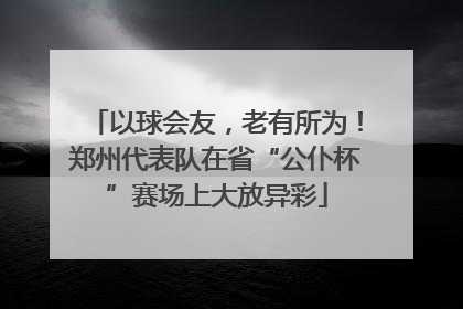 以球会友，老有所为！郑州代表队在省“公仆杯”赛场上大放异彩