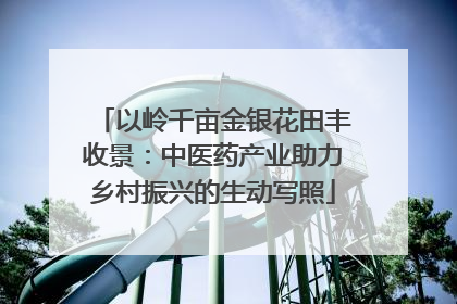 以岭千亩金银花田丰收景：中医药产业助力乡村振兴的生动写照
