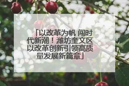 以改革为帆 闯时代新潮！潍坊奎文区以改革创新引领高质量发展新篇章