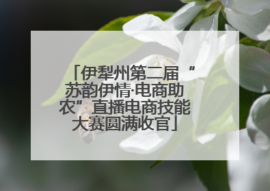 伊犁州第二届“苏韵伊情·电商助农”直播电商技能大赛圆满收官