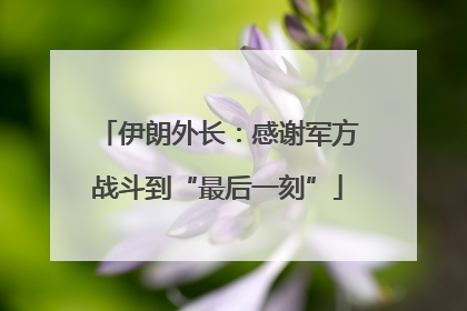 伊朗外长：感谢军方战斗到“最后一刻”