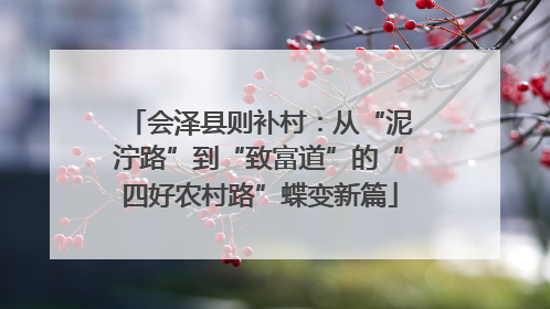会泽县则补村：从“泥泞路”到“致富道”的“四好农村路”蝶变新篇