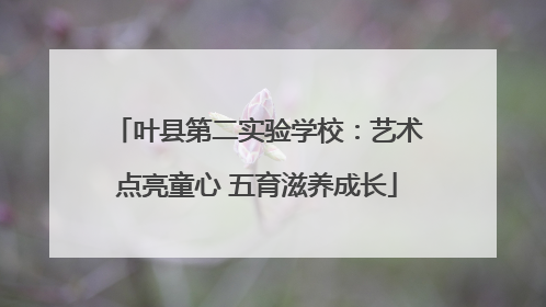 叶县第二实验学校：艺术点亮童心 五育滋养成长