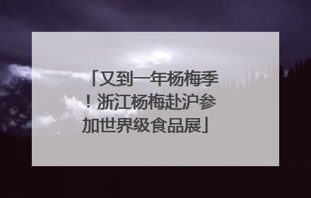 又到一年杨梅季！浙江杨梅赴沪参加世界级食品展