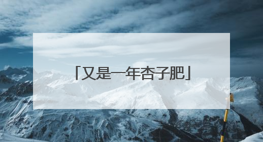又是一年杏子肥