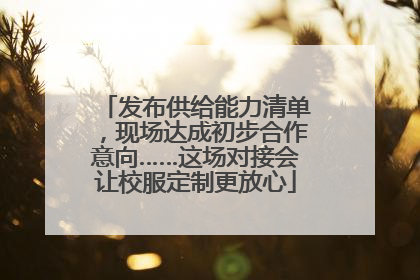 发布供给能力清单，现场达成初步合作意向……这场对接会让校服定制更放心