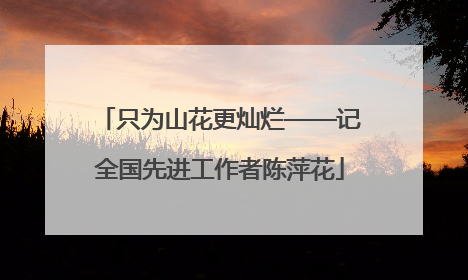 只为山花更灿烂——记全国先进工作者陈萍花