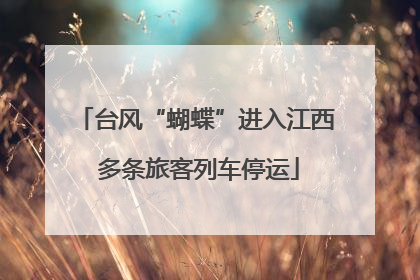 台风“蝴蝶”进入江西 多条旅客列车停运