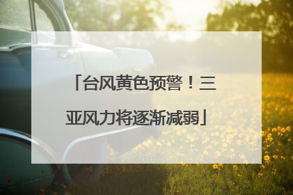 台风黄色预警！三亚风力将逐渐减弱