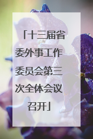 十三届省委外事工作委员会第三次全体会议召开