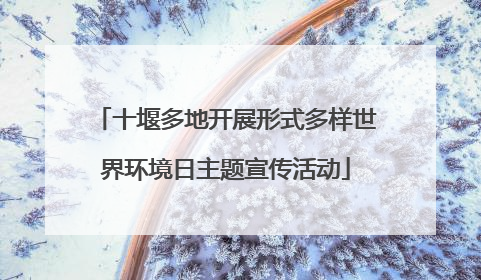 十堰多地开展形式多样世界环境日主题宣传活动