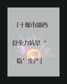 十堰市郧西县全力抗旱“稳”生产