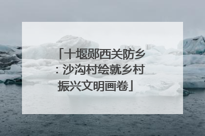 十堰郧西关防乡：沙沟村绘就乡村振兴文明画卷