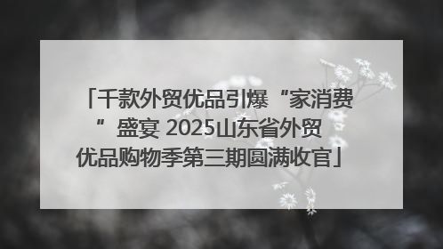 千款外贸优品引爆“家消费”盛宴 2025山东省外贸优品购物季第三期圆满收官