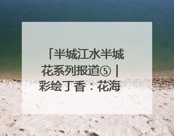 半城江水半城花系列报道⑤｜彩绘丁香：花海映照一座城