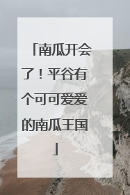 南瓜开会了！平谷有个可可爱爱的南瓜王国