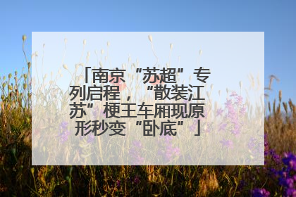 南京“苏超”专列启程，“散装江苏”梗王车厢现原形秒变“卧底”