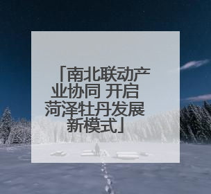 南北联动产业协同 开启菏泽牡丹发展新模式