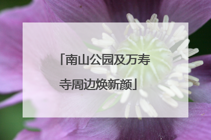 南山公园及万寿寺周边焕新颜