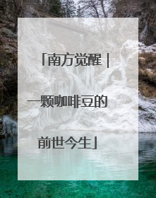 南方觉醒｜一颗咖啡豆的前世今生