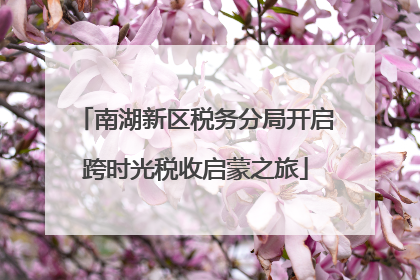 南湖新区税务分局开启跨时光税收启蒙之旅