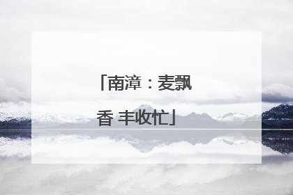 南漳：麦飘香 丰收忙