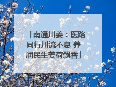 南通川姜：医路同行川流不息 养润民生姜荷飘香