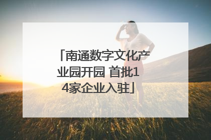 南通数字文化产业园开园 首批14家企业入驻