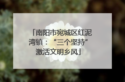 南阳市宛城区红泥湾镇：“三个坚持”激活文明乡风