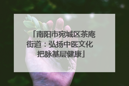 南阳市宛城区茶庵街道：弘扬中医文化 把脉基层健康
