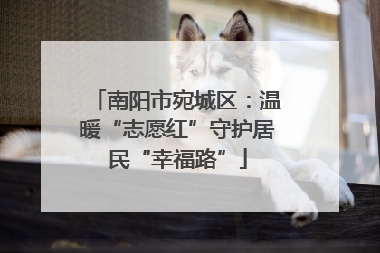 南阳市宛城区：温暖“志愿红”守护居民“幸福路”