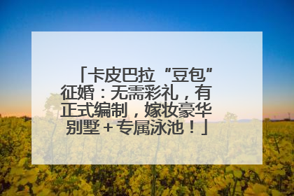 卡皮巴拉“豆包”征婚：无需彩礼，有正式编制，嫁妆豪华别墅＋专属泳池！